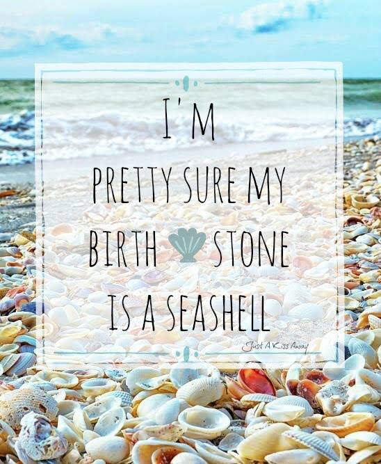 Photo of a beach with lots of seashells. "I'm pretty sure my birthstone is a seashell." TravelsWithSuz.com
