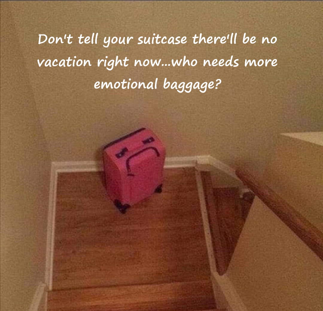 Funny or Pithy? Travel-Related Comics | TravelswithSuz.com
