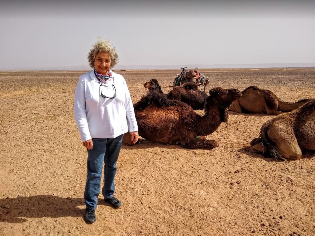 Suz with a group of camels, in Morocco. 