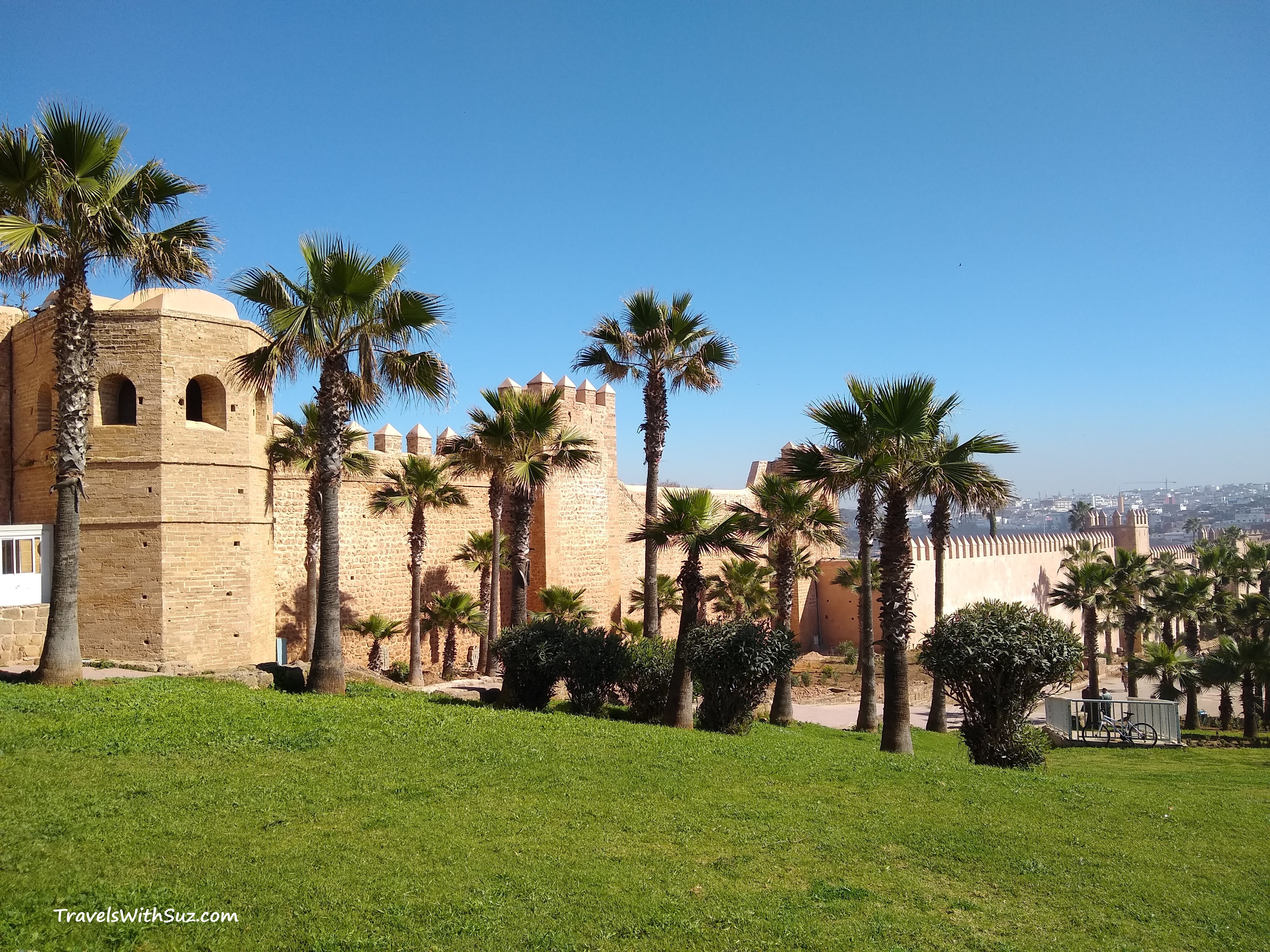 wall of the kasbah, with palm trees