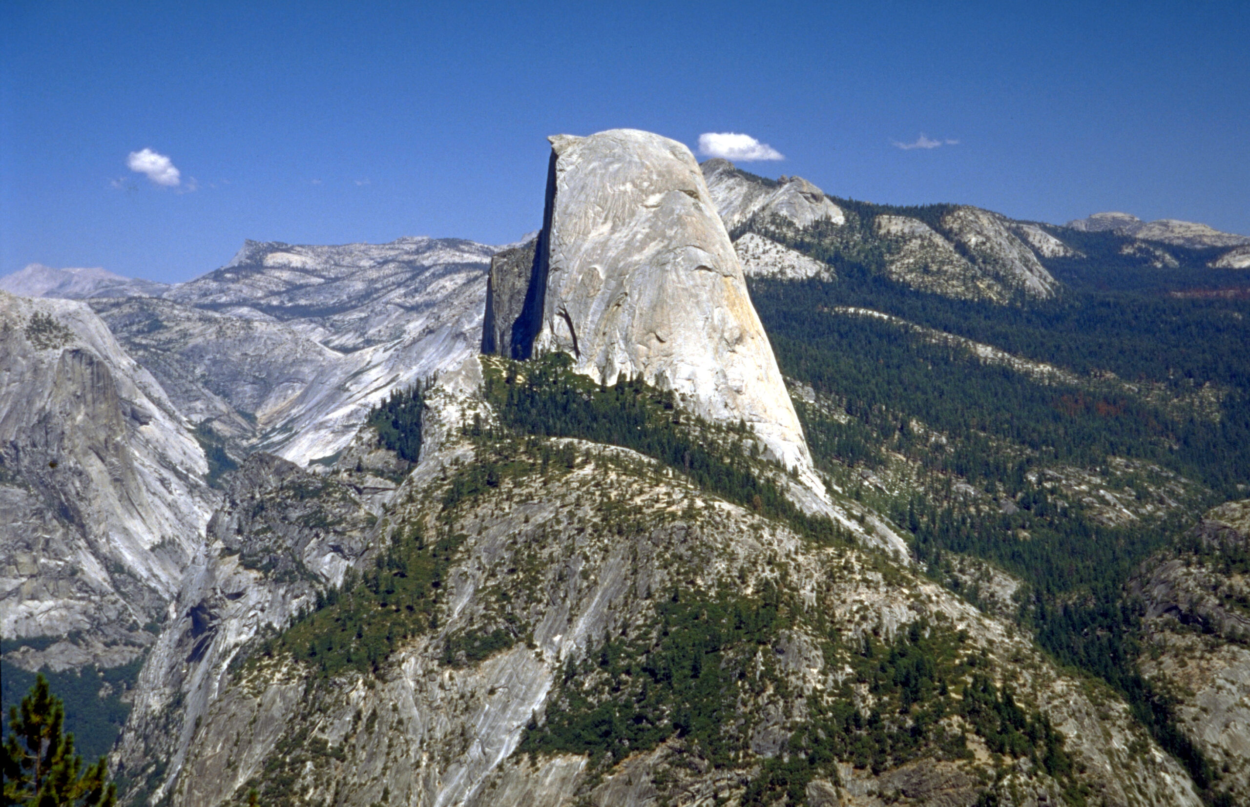 View of Half Dome from Washburn Peak