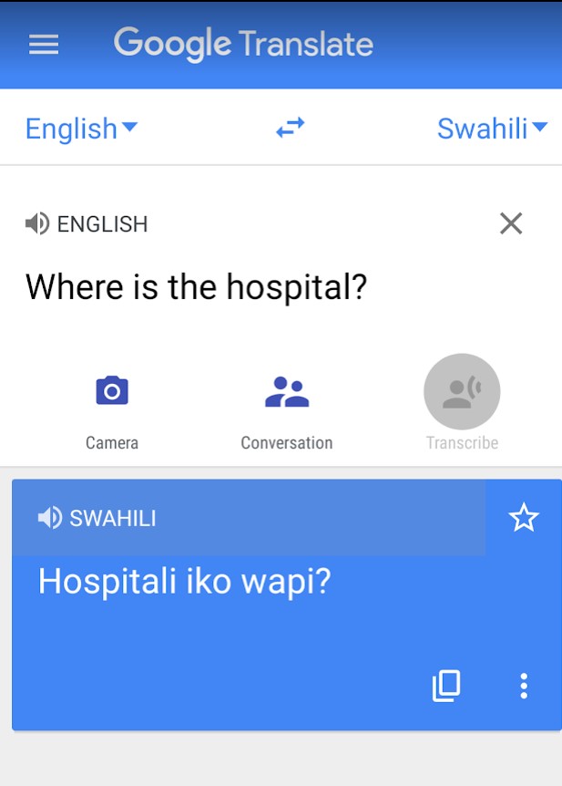 example of Google Translate