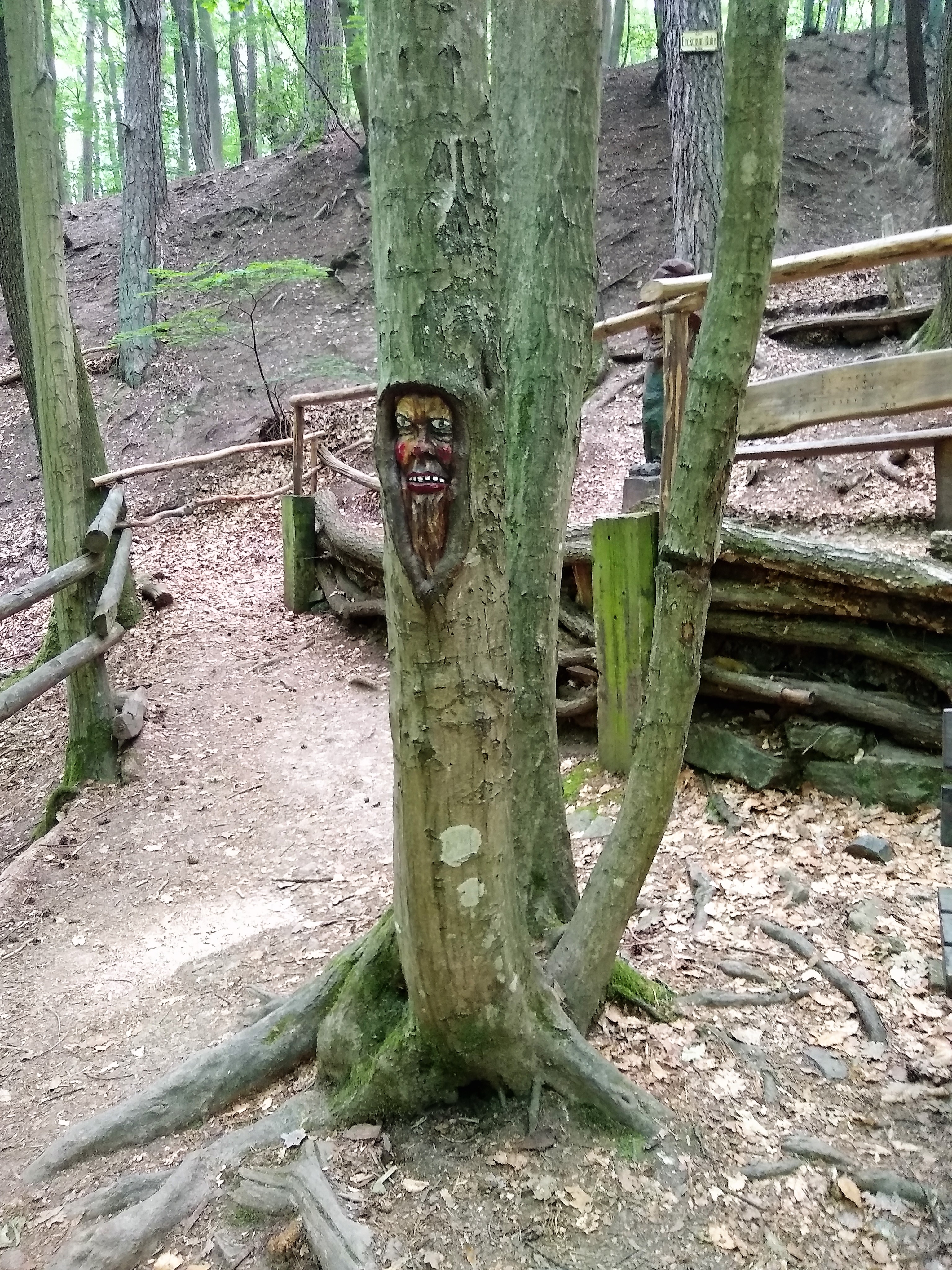 Tree Face Forest, Wiesbaden, TravelsWithSuz.com