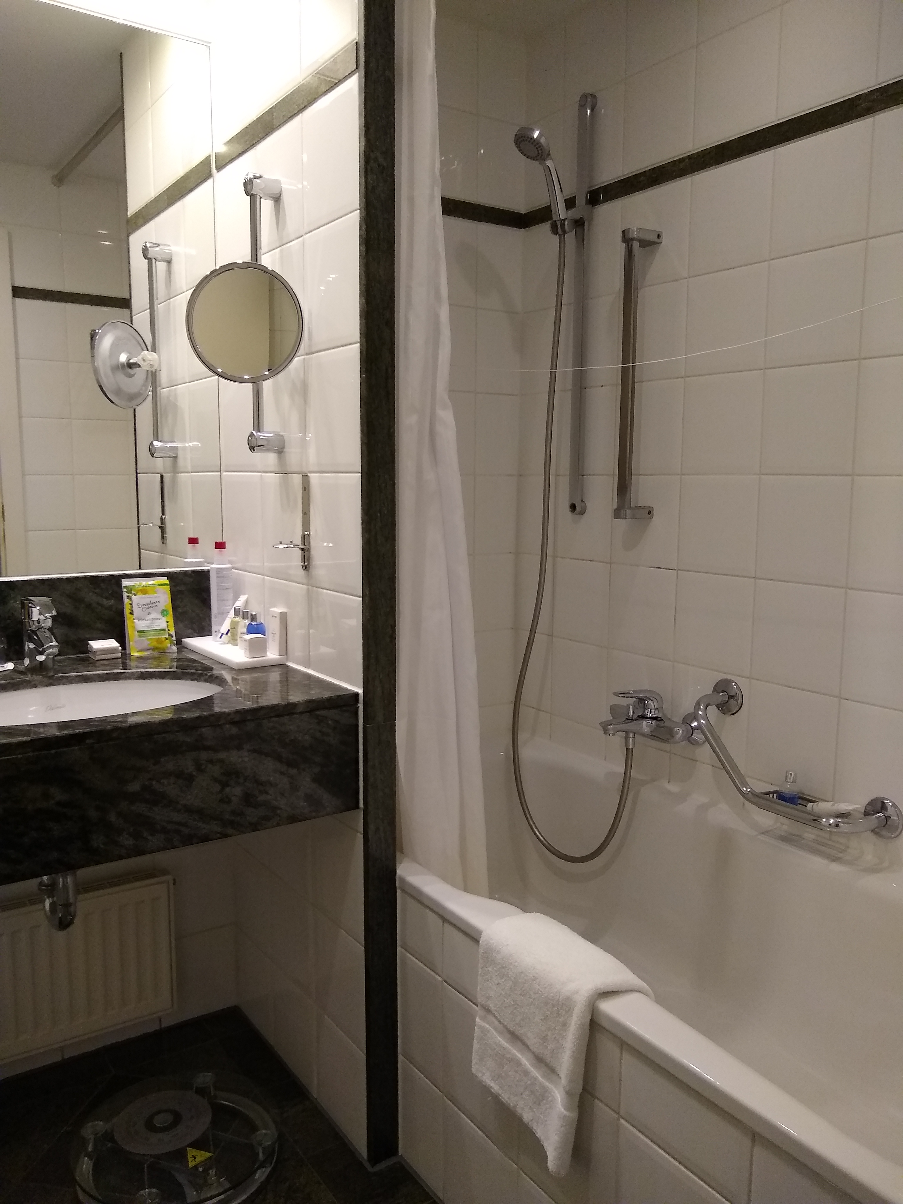 The bathroom at the Schwarzer Bock Hotel