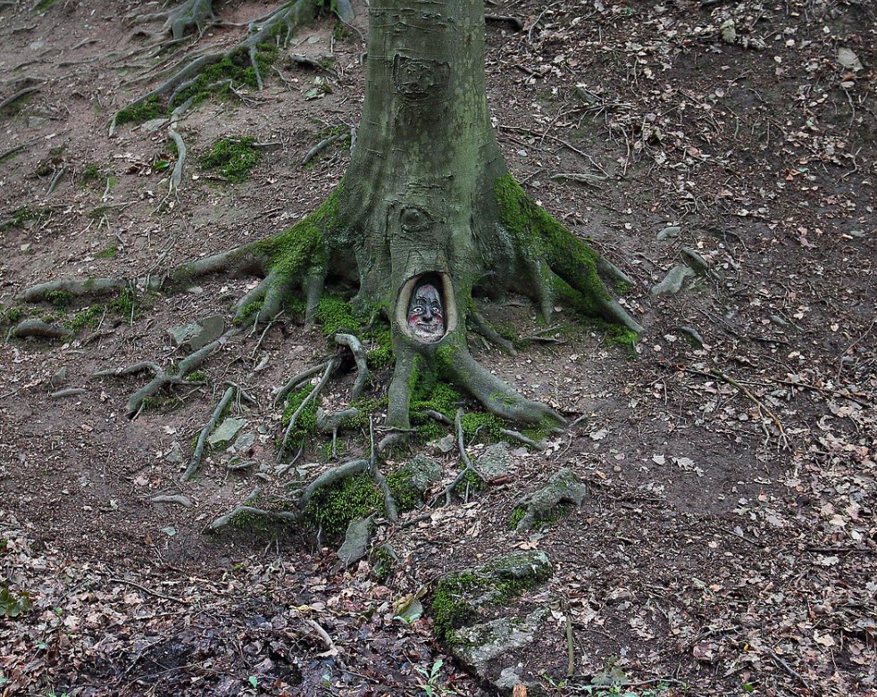 Forest Walks - Tree Face Forest, Wiesbaden, TravelsWithSuz.com