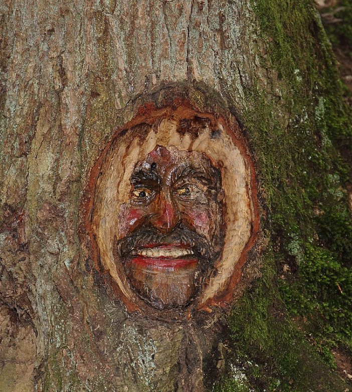 Forest Walks - Tree Face Forest, Wiesbaden, TravelsWithSuz.com