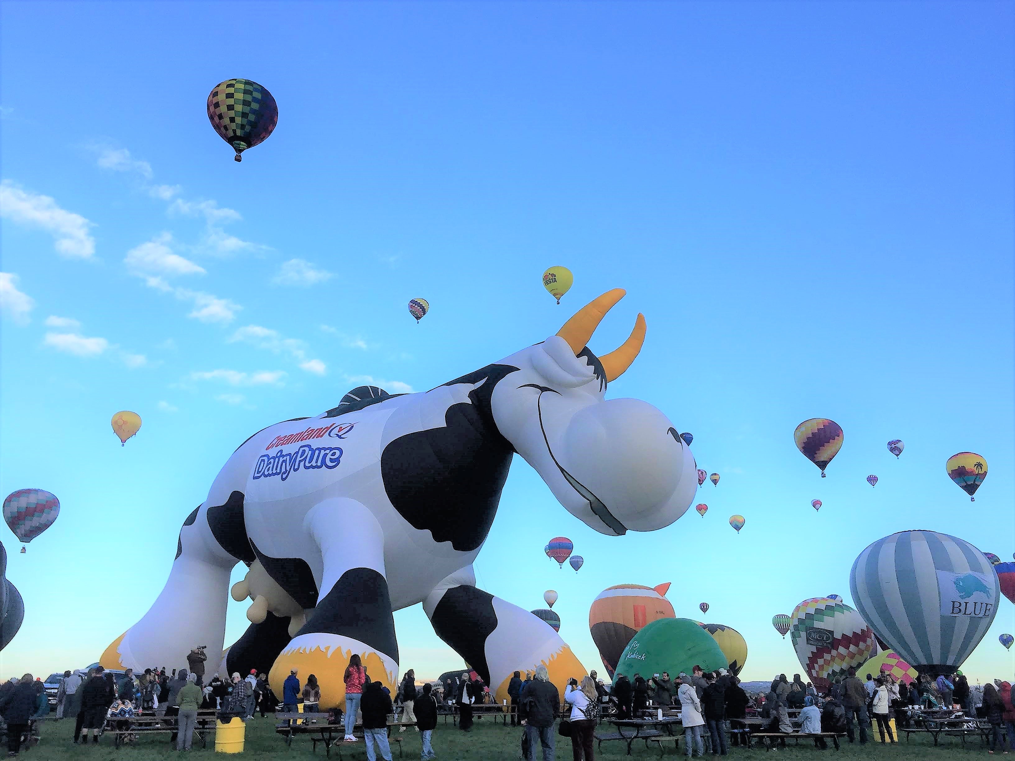special shape, cow  - Albuquerque International Balloon Fiesta - TravelsWithSuz.com